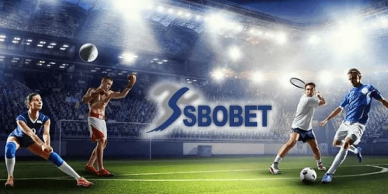 Khám phá sảnh cược Sbobet tại 8live